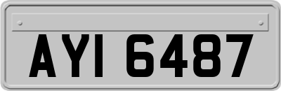 AYI6487