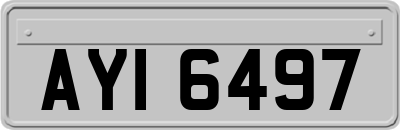 AYI6497