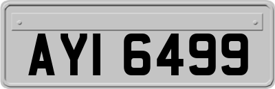AYI6499