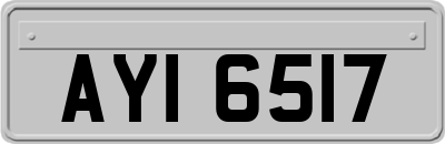 AYI6517