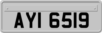 AYI6519