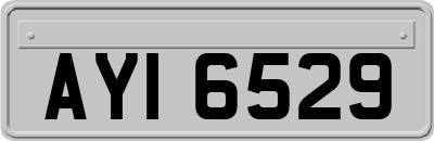 AYI6529