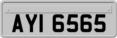 AYI6565