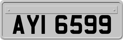 AYI6599