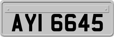 AYI6645