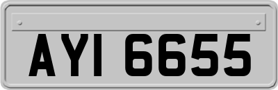 AYI6655