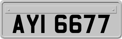 AYI6677