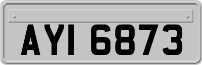 AYI6873