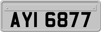 AYI6877