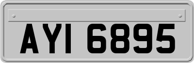 AYI6895