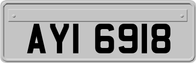 AYI6918