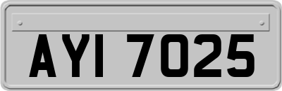 AYI7025