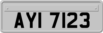 AYI7123