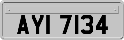 AYI7134