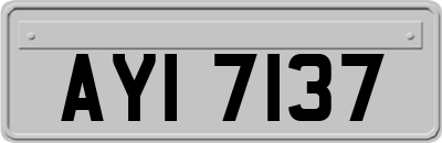 AYI7137