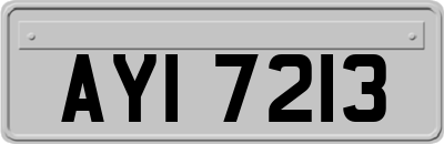 AYI7213