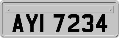 AYI7234