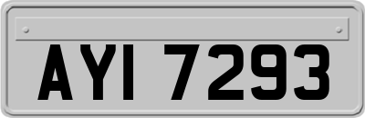 AYI7293