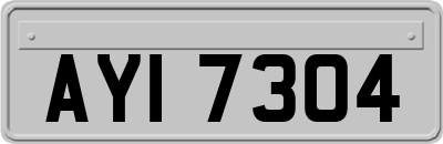 AYI7304