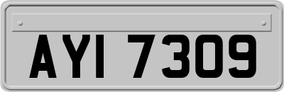 AYI7309