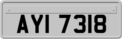 AYI7318
