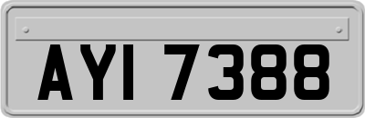 AYI7388