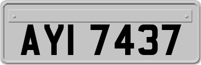 AYI7437