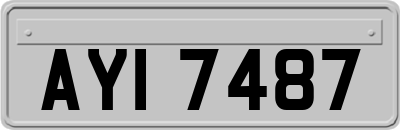 AYI7487