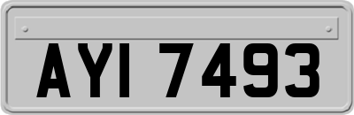 AYI7493