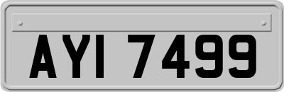 AYI7499