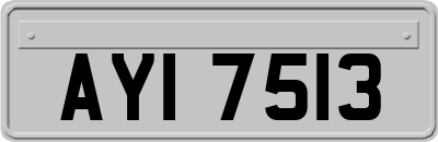 AYI7513