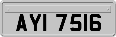 AYI7516