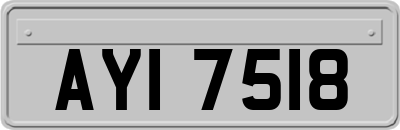 AYI7518