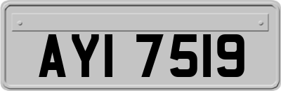 AYI7519