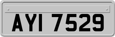 AYI7529