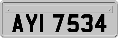 AYI7534