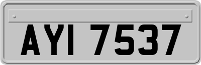 AYI7537