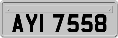 AYI7558