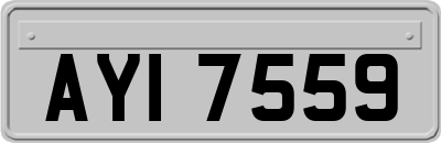 AYI7559