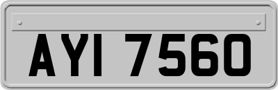 AYI7560