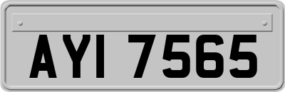 AYI7565