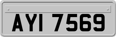 AYI7569