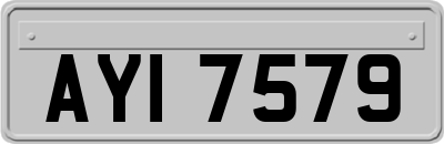 AYI7579