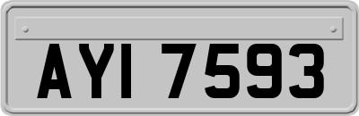 AYI7593