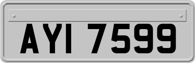 AYI7599