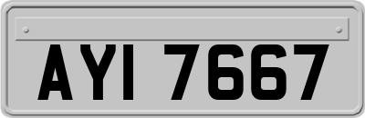 AYI7667