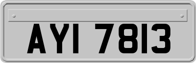 AYI7813