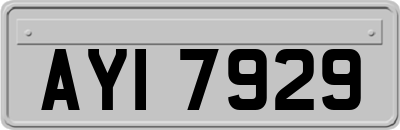 AYI7929