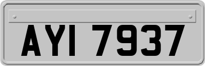 AYI7937