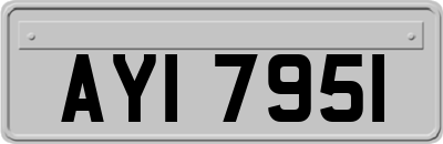 AYI7951